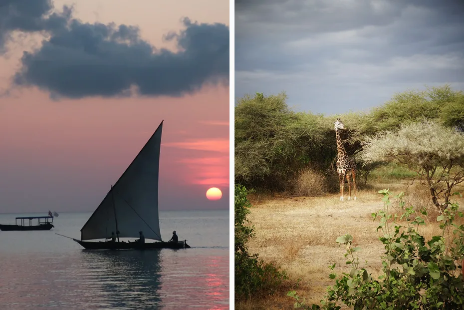 Sub-Saharan Africa Gallery6