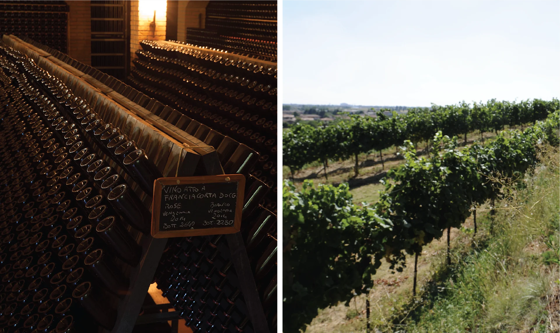 Faccoli Franciacorta winery with vineyard rows extending across the countryside under a clear sky.