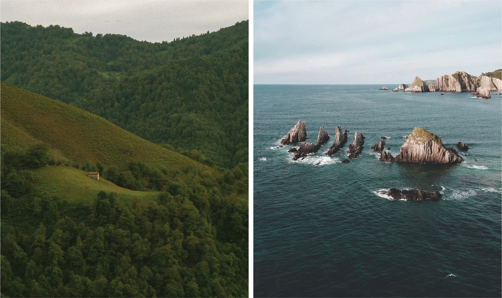 Rolling green hills and dramatic rocky shoreline along the Atlantic coast of northern Spain, a region famed for seafood and seafaring culture.