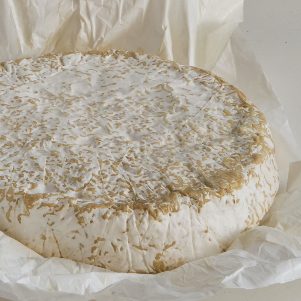 Liberté, Égalité, Camembert