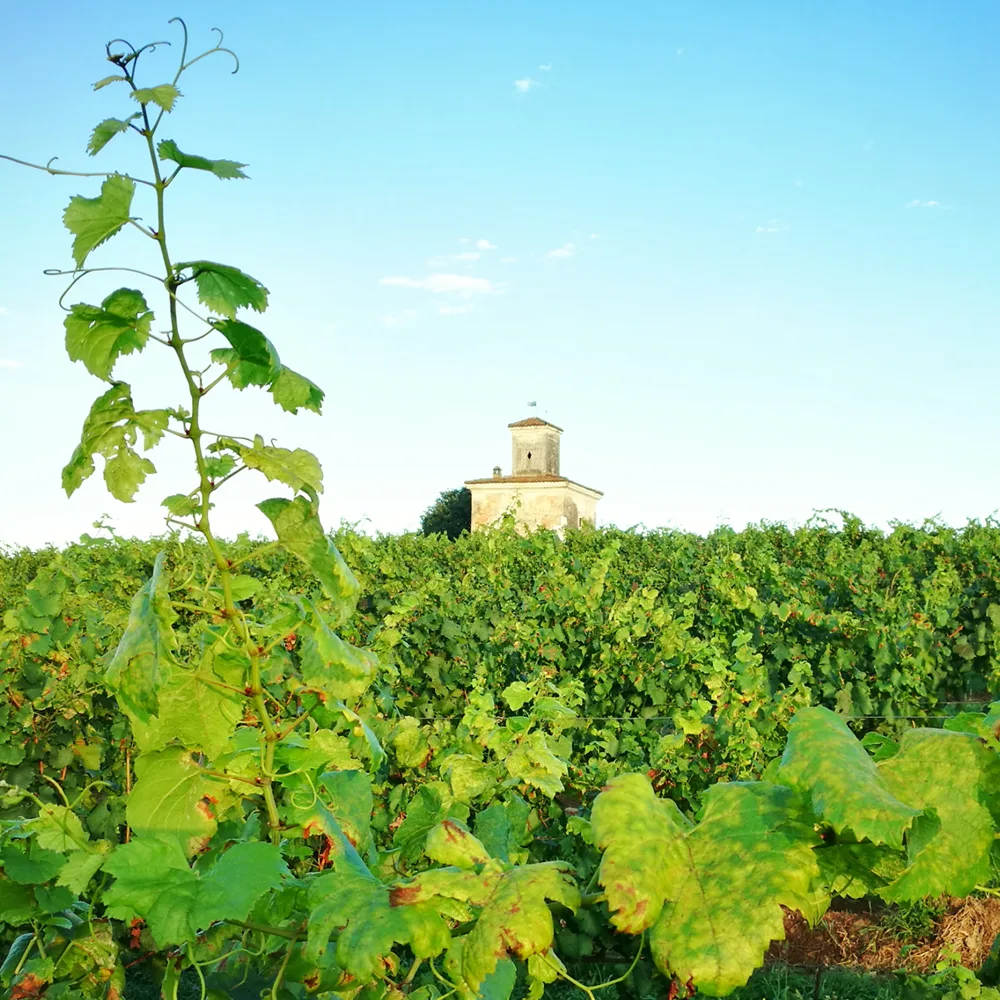 Franciacorta.png